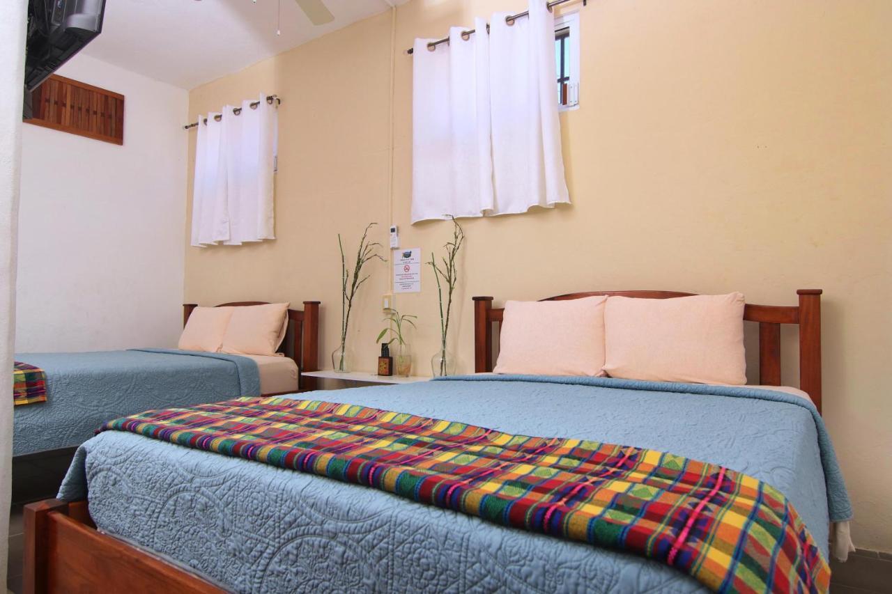 Rainforest Haven Inn ซานอิกนาซิโอ ภายนอก รูปภาพ